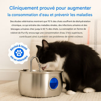 Offrez à votre chat des années de vie plus saine avec Purrify