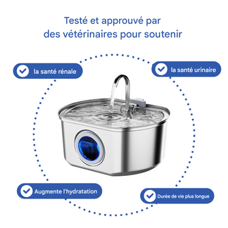 Offrez à votre chat des années de vie plus saine avec Purrify
