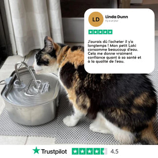 Offrez à votre chat des années de vie plus saine avec Purrify