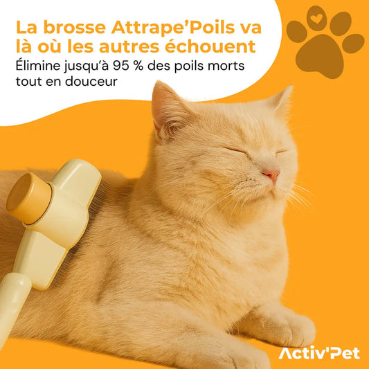 Brosse Attrape’Poils pour chat