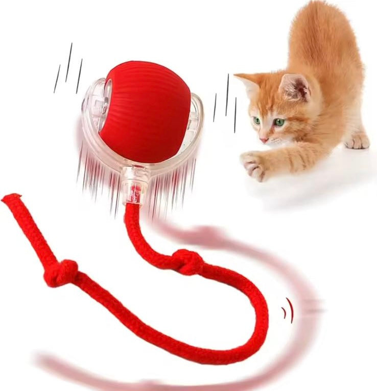 Jouets interactifs pour chat