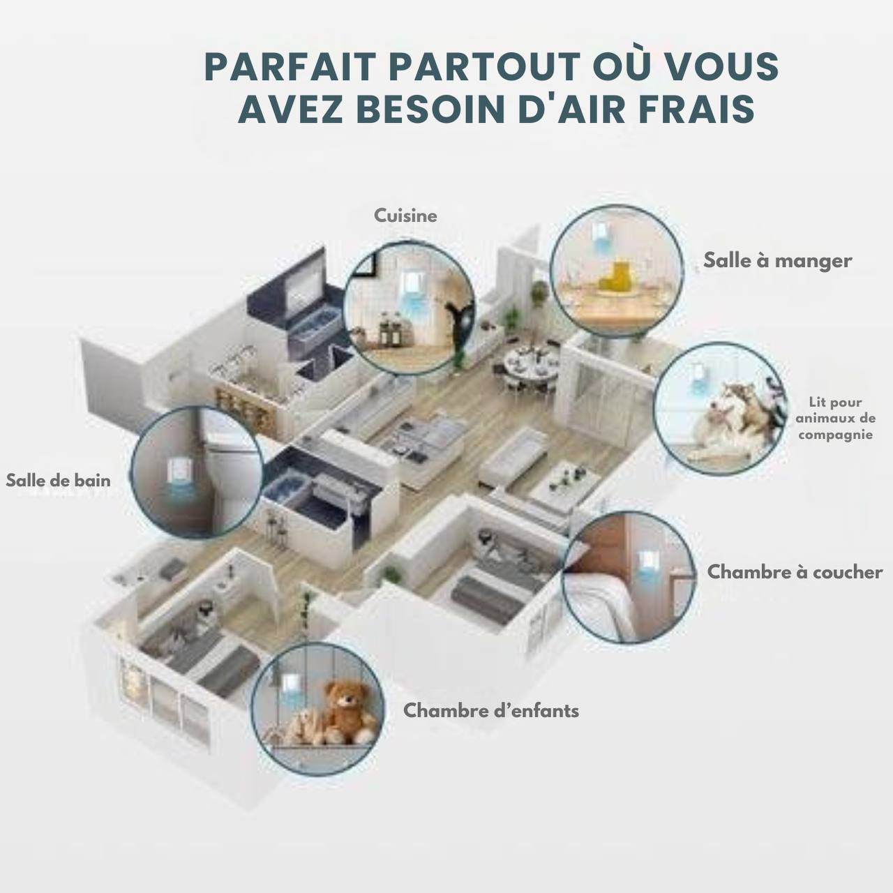 Éliminez les odeurs d'animaux, les squames et les poils dans l'air, gardez votre maison plus fraîche en seulement 30 minutes.