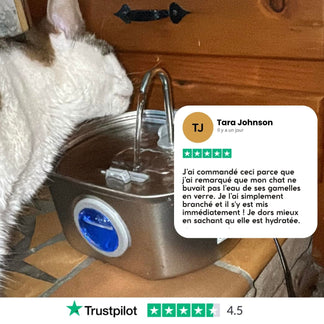 Offrez à votre chat des années de vie plus saine avec Purrify
